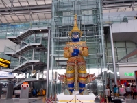 Virulhok1