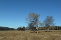 Star� Hu�, okol� obc� Keply a Koch�nov, �umava