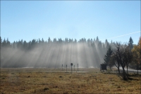 Star� Hu�, okol� obc� Keply a Koch�nov, �umava
