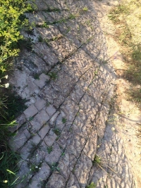 Puvodni dlazba
