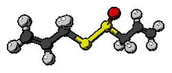 Alicin - molekula