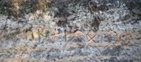 Skaln� rytina